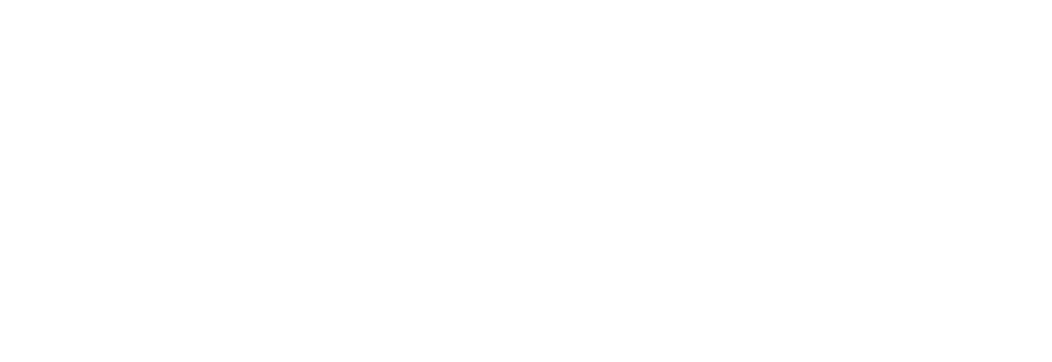 logo 2021 white